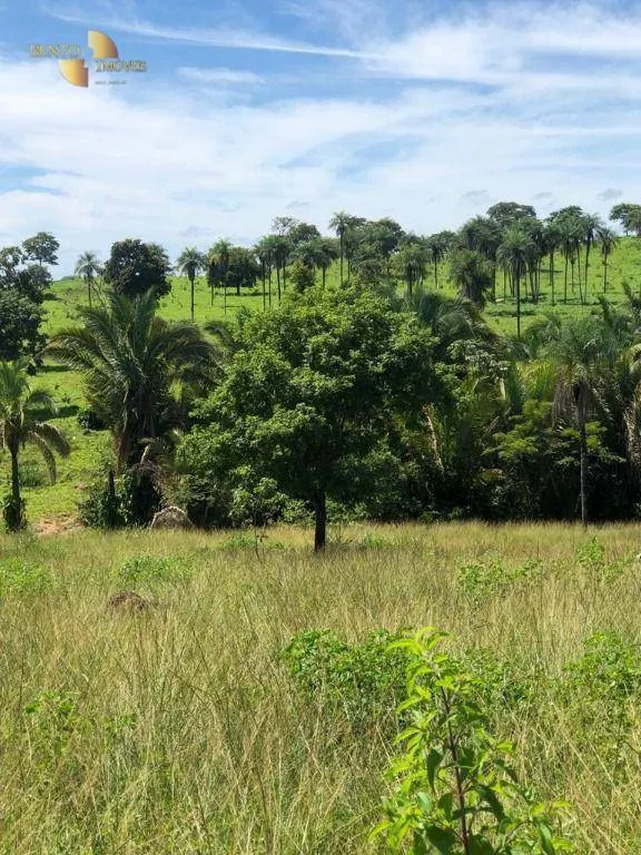 Fazenda à venda de 283 ha em Nova Bandeirantes, MT, Brasil