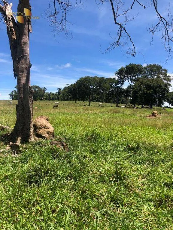 Fazenda à venda de 283 ha em Nova Bandeirantes, MT, Brasil