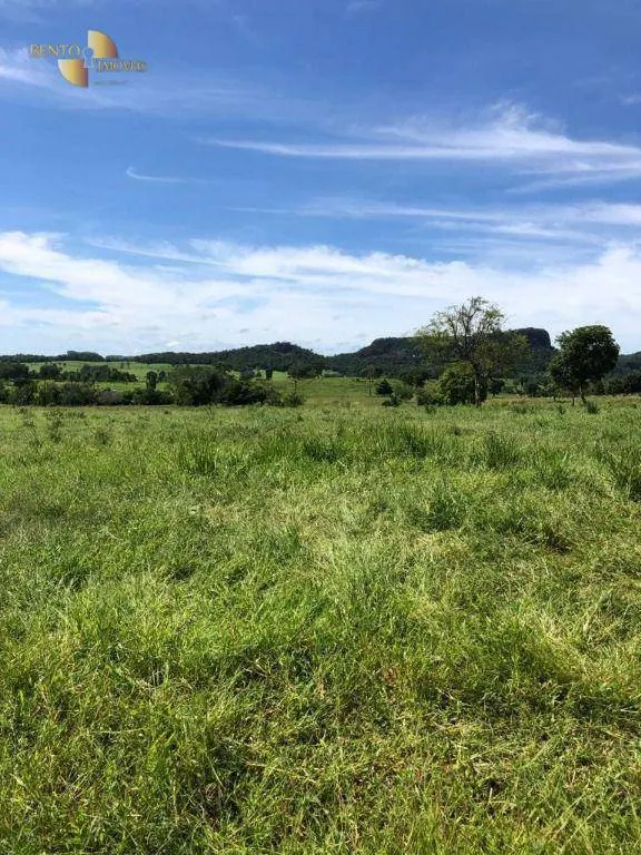 Fazenda à venda de 283 ha em Nova Bandeirantes, MT, Brasil