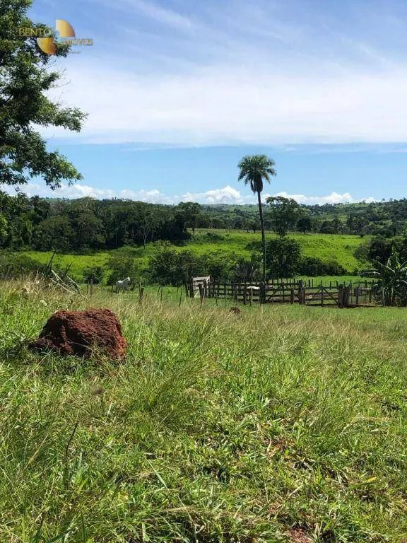 Fazenda à venda de 283 ha em Nova Bandeirantes, MT, Brasil