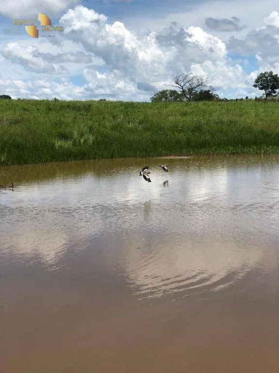Fazenda à venda de 283 ha em Nova Bandeirantes, MT, Brasil