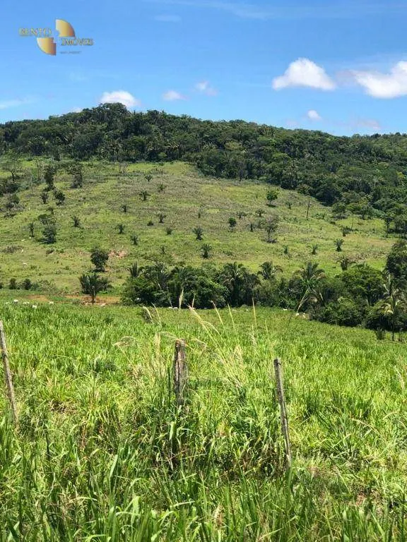 Fazenda à venda de 283 ha em Nova Bandeirantes, MT, Brasil