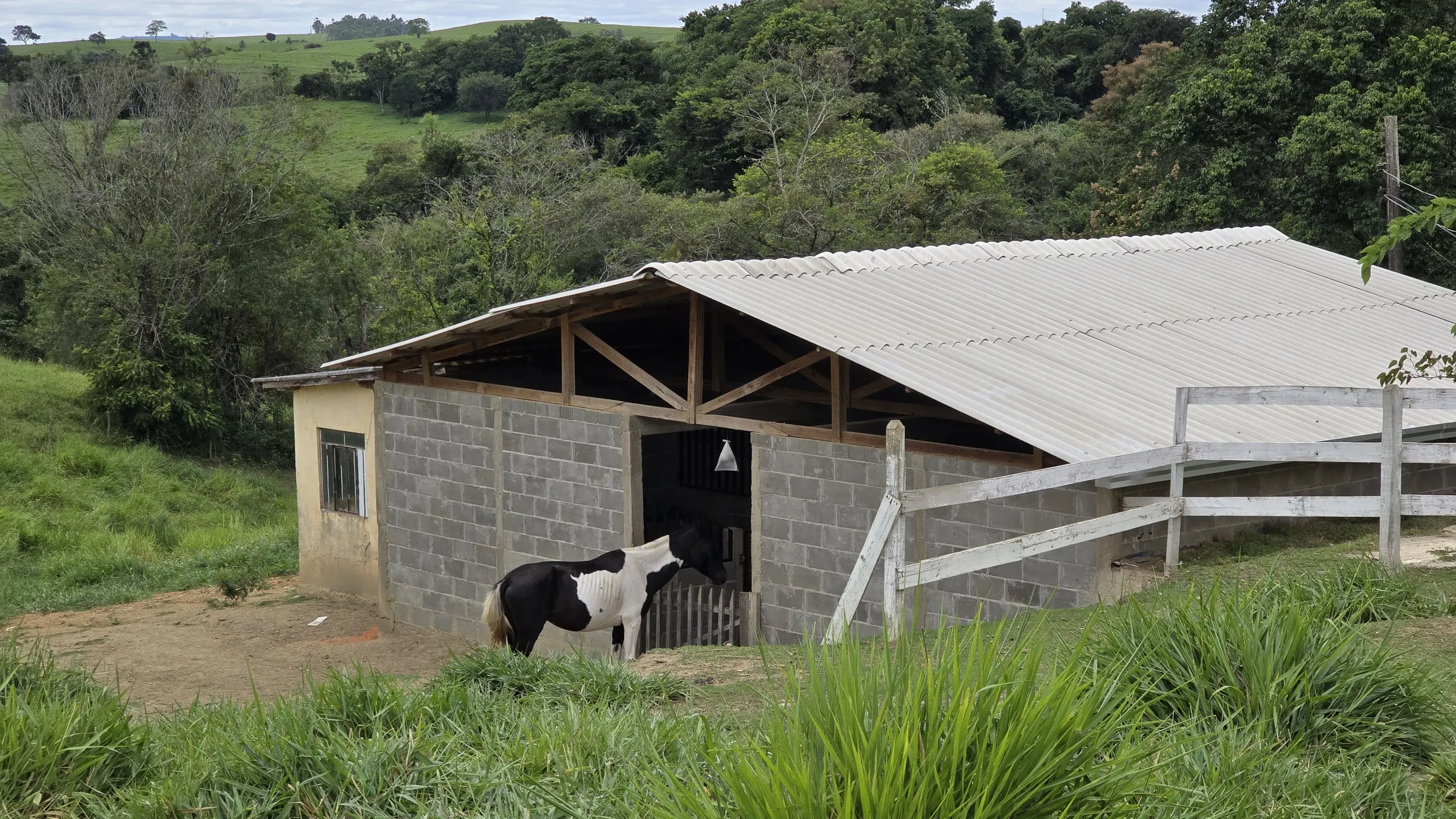 Country home for sale of 75 acres in Japira, PR, Brazil