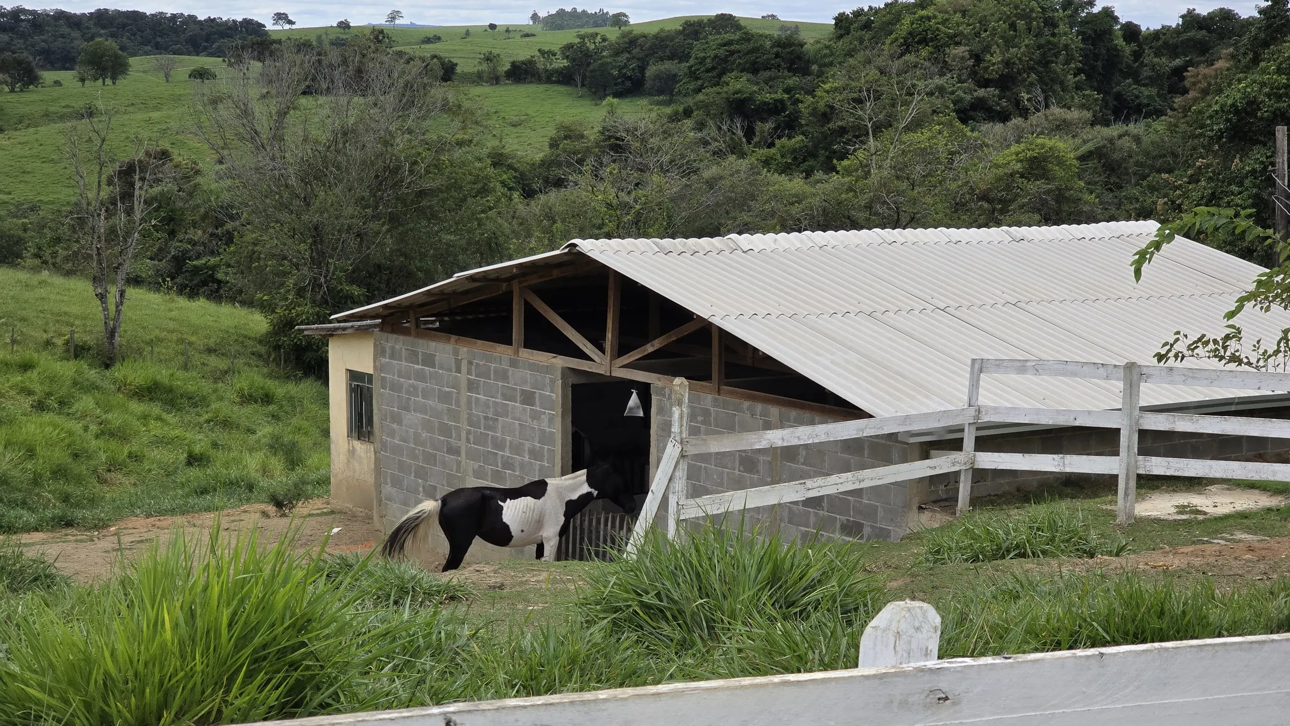 Country home for sale of 75 acres in Japira, PR, Brazil