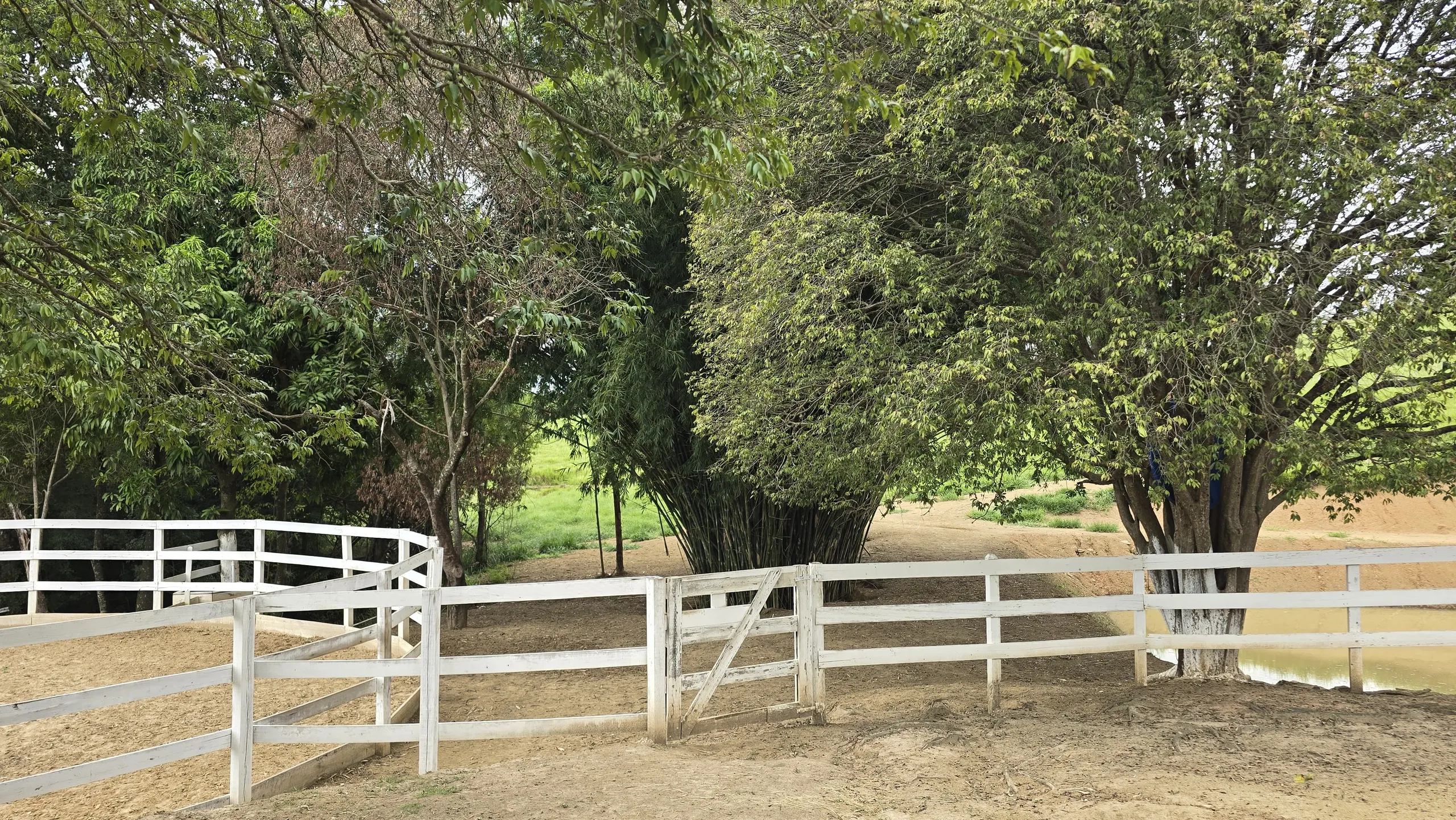 Country home for sale of 75 acres in Japira, PR, Brazil