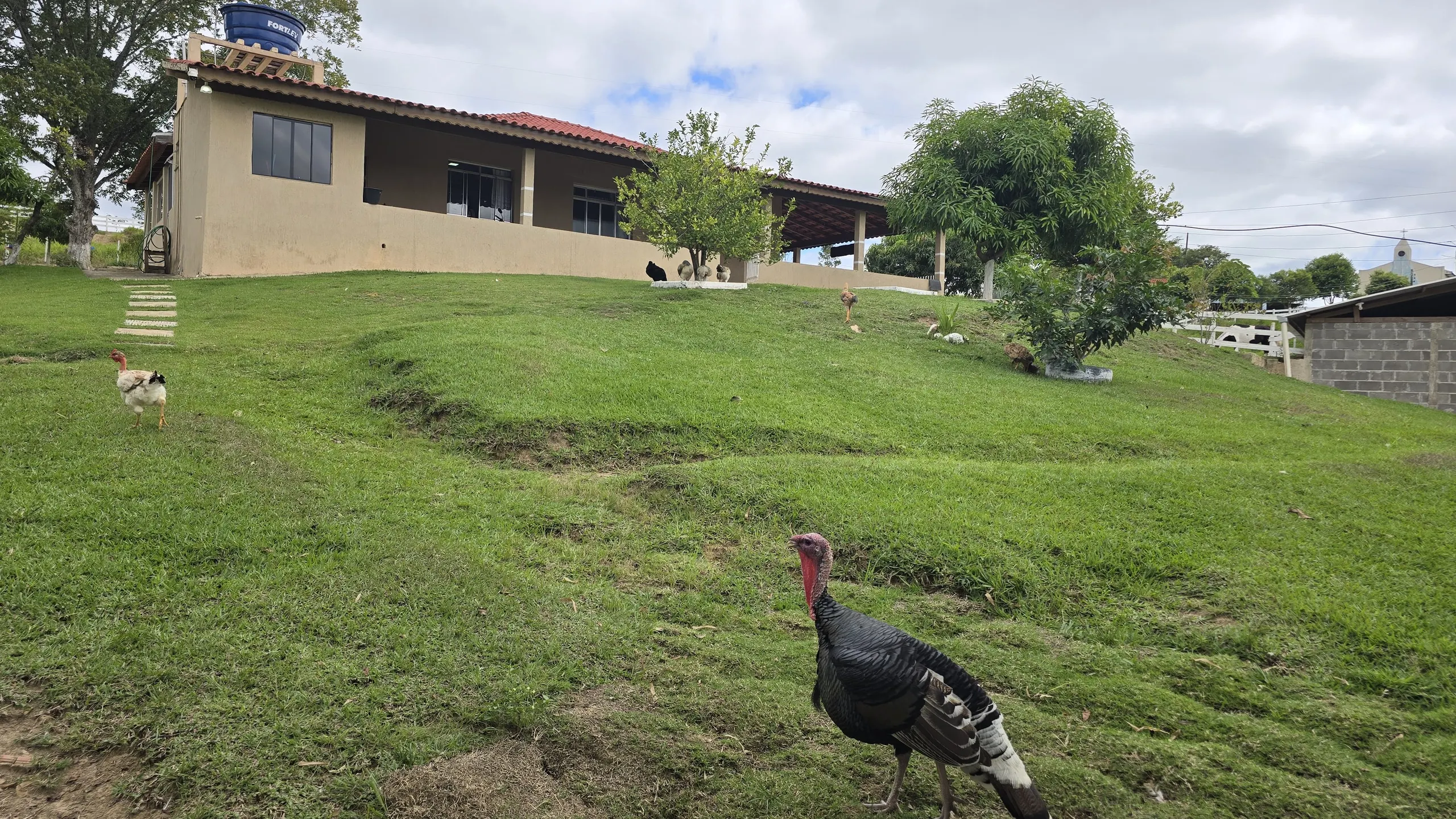 Country home for sale of 75 acres in Japira, PR, Brazil