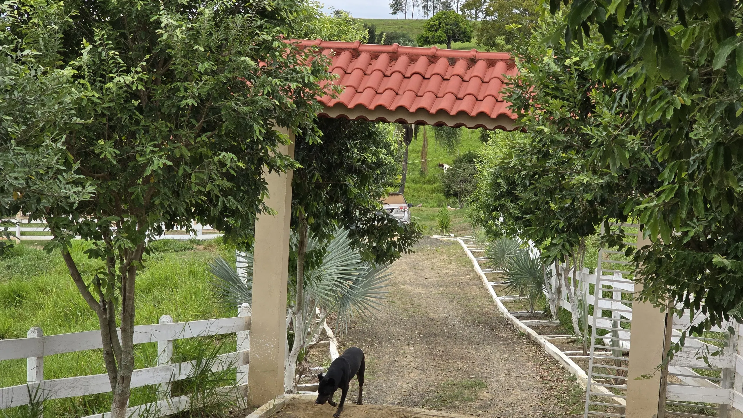 Chácara à venda de 30 ha em Japira, PR, Brasil