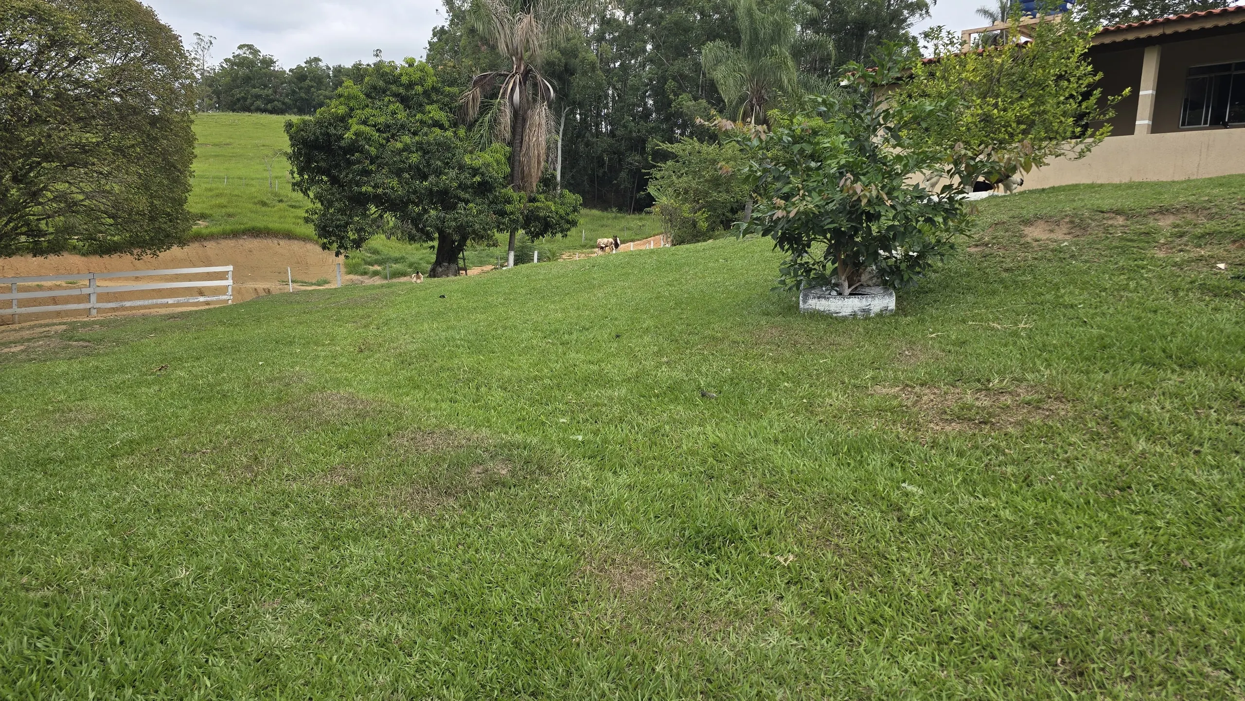 Country home for sale of 75 acres in Japira, PR, Brazil