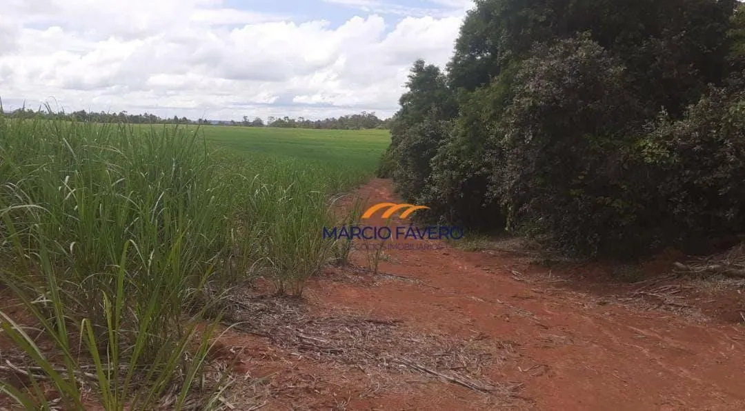 Fazenda à venda de 307 ha em Itapetininga, SP, Brasil