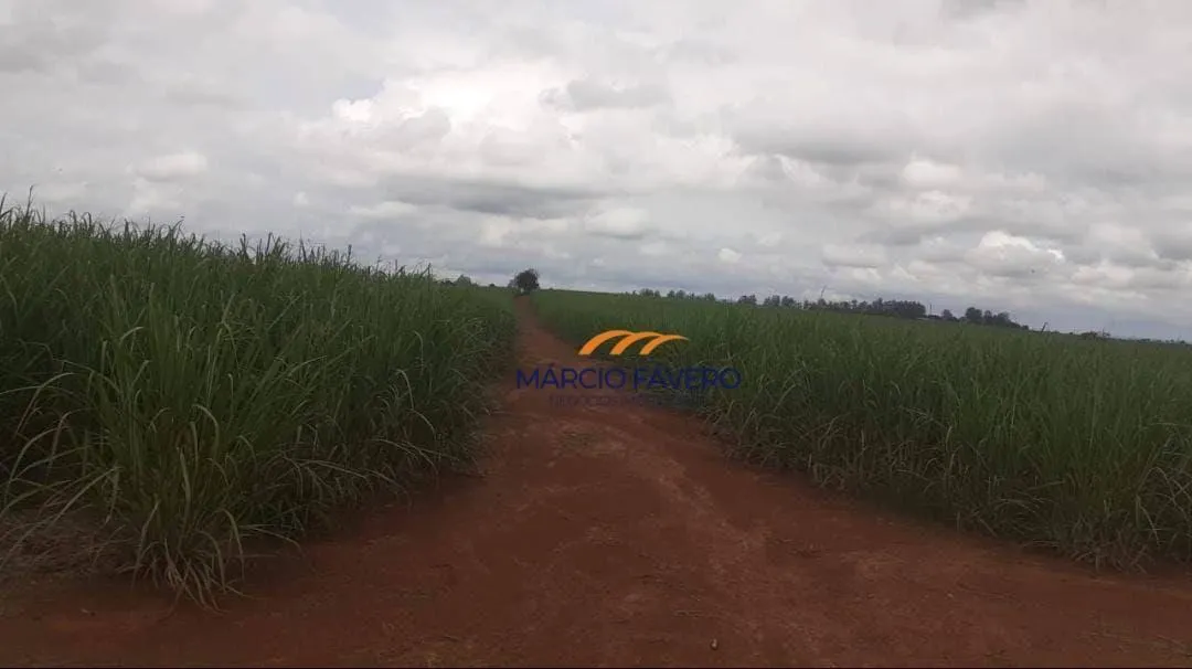 Fazenda à venda de 307 ha em Itapetininga, SP, Brasil