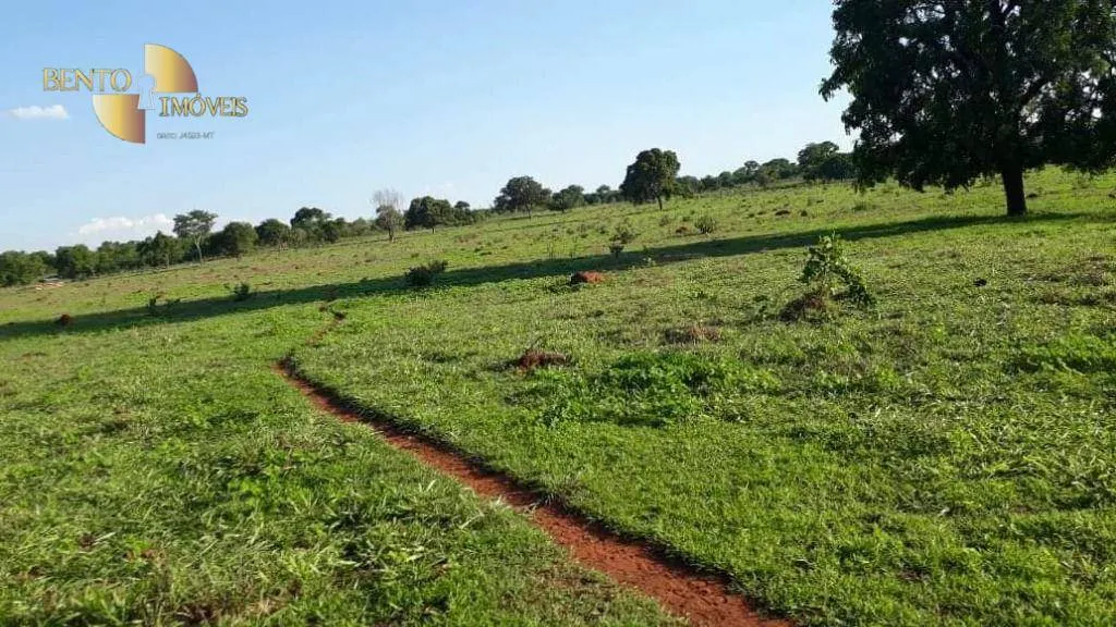 Farm for sale of 1,240 acres in Juscimeira, MT, Brazil