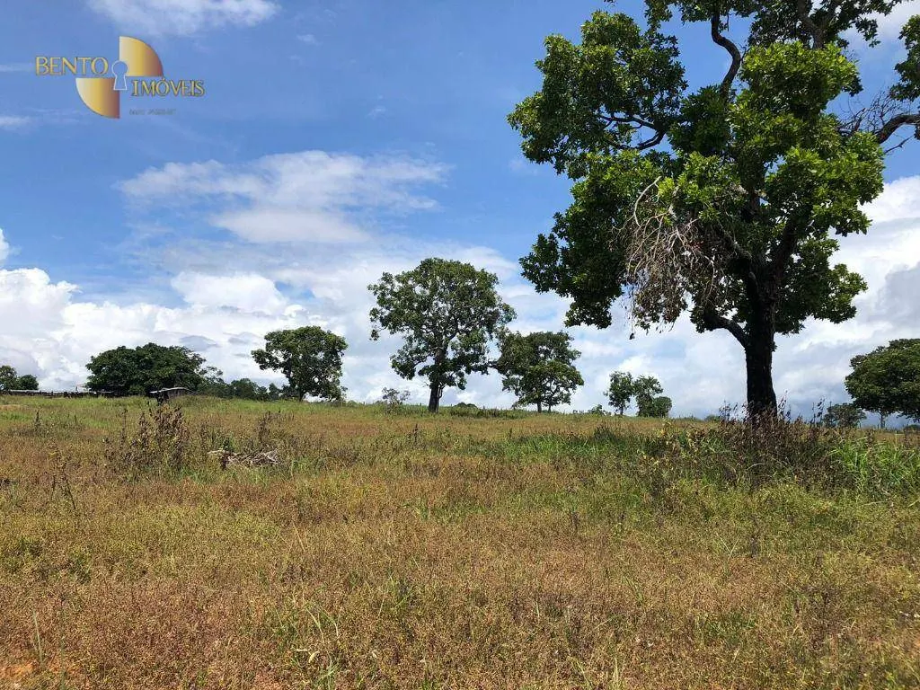 Farm for sale of 1,240 acres in Juscimeira, MT, Brazil