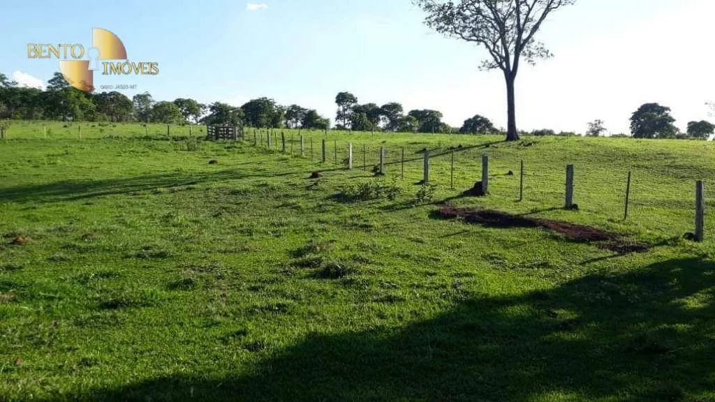Farm for sale of 1,240 acres in Juscimeira, MT, Brazil