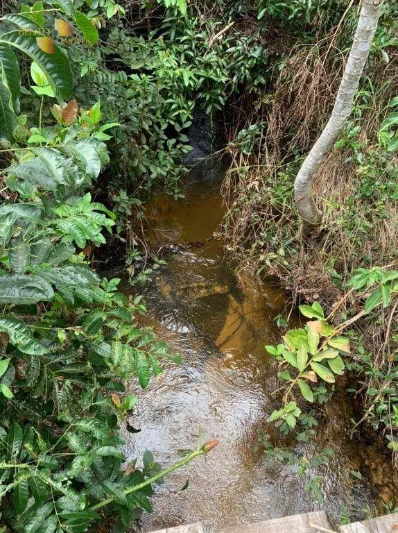 Farm for sale of 1,240 acres in Juscimeira, MT, Brazil