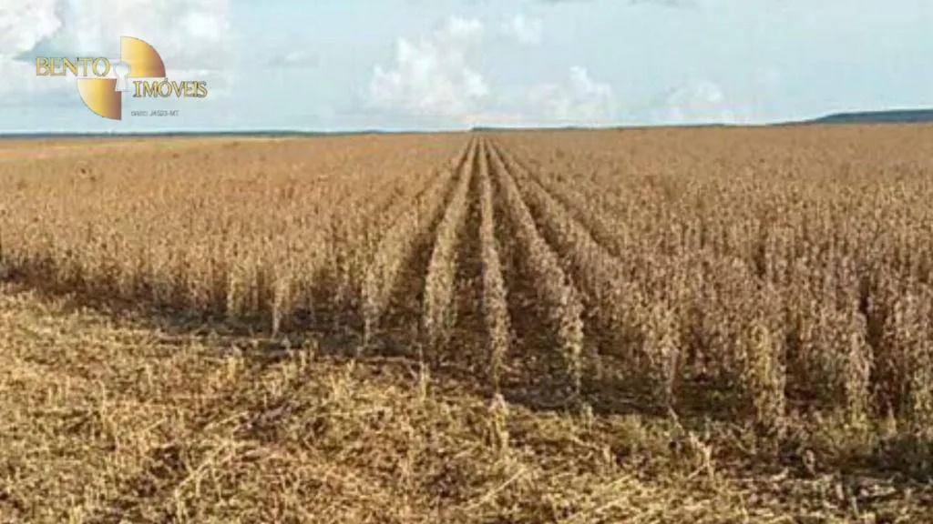 Fazenda à venda de 1.852 ha em Nova Mutum, MT, Brasil