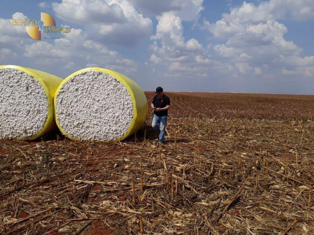 Fazenda à venda de 1.852 ha em Nova Mutum, MT, Brasil