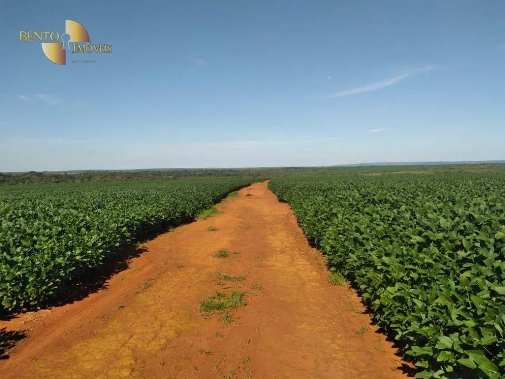 Fazenda à venda de 1.852 ha em Nova Mutum, MT, Brasil