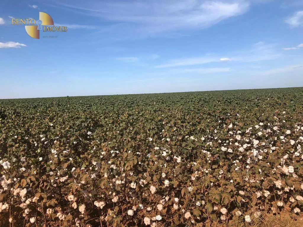 Fazenda à venda de 1.852 ha em Nova Mutum, MT, Brasil