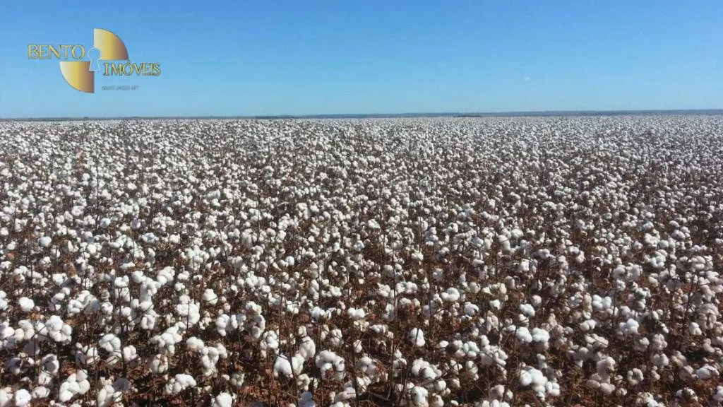 Fazenda à venda de 1.852 ha em Nova Mutum, MT, Brasil