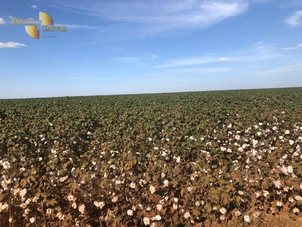Fazenda à venda de 1.852 ha em Nova Mutum, MT, Brasil