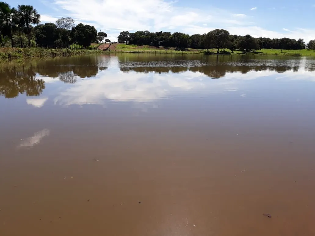 Fazenda à venda de 1.212 ha em Porangatu, GO, Brasil