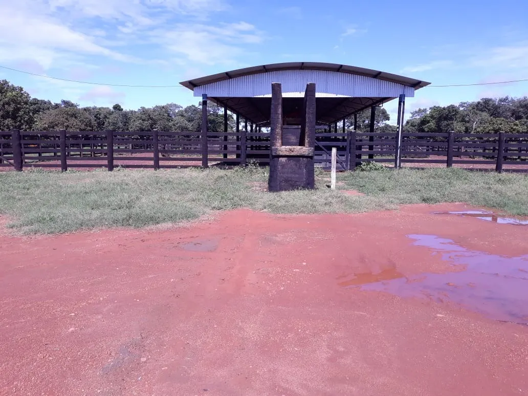 Fazenda à venda de 1.212 ha em Porangatu, GO, Brasil