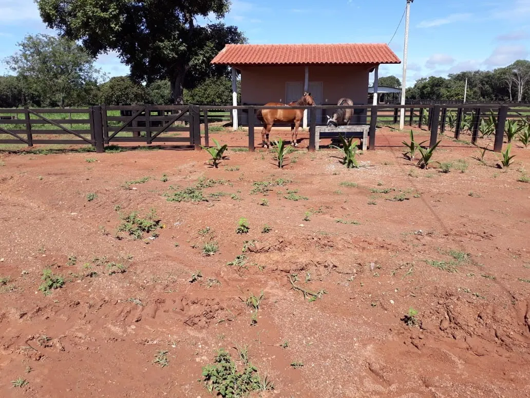 Fazenda à venda de 1.212 ha em Porangatu, GO, Brasil