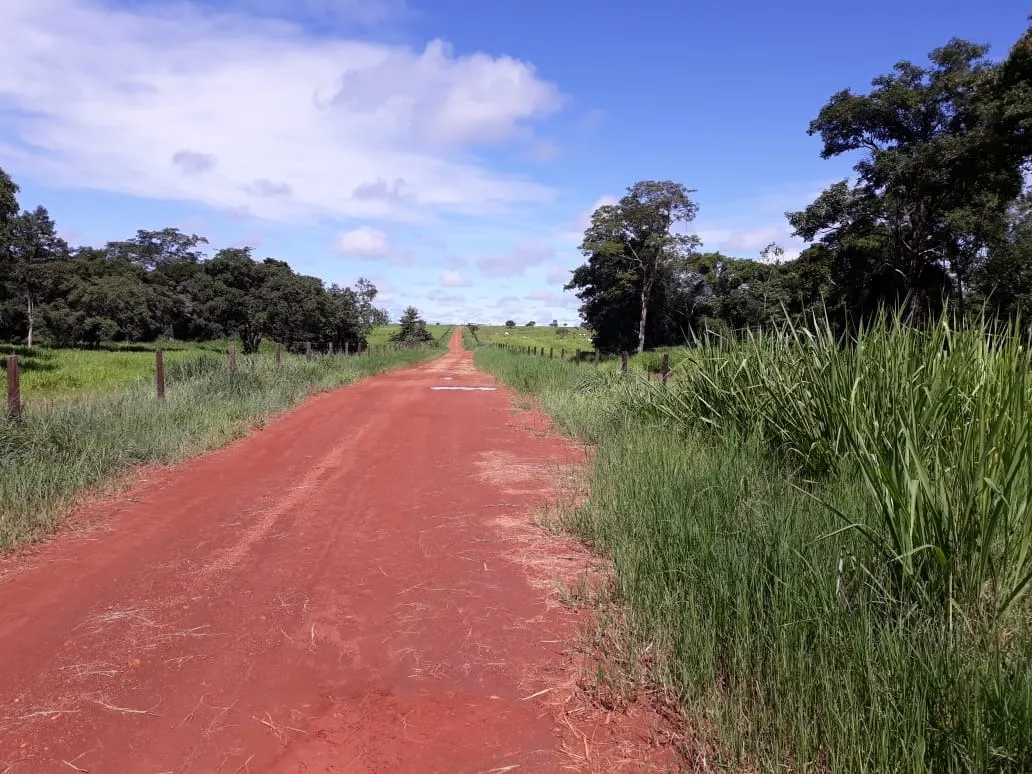 Fazenda à venda de 1.212 ha em Porangatu, GO, Brasil