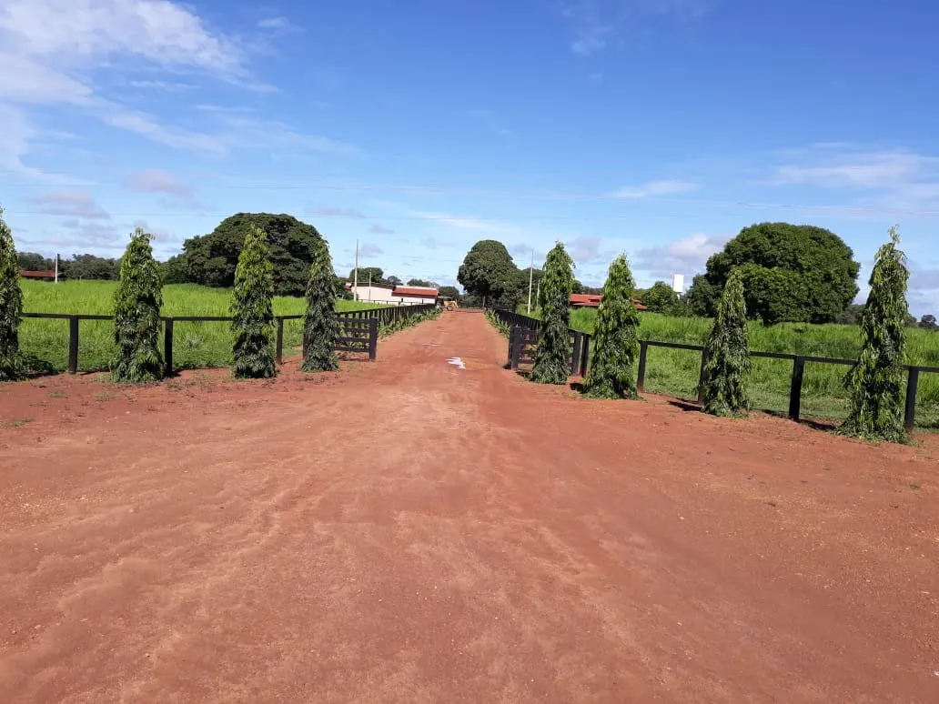 Fazenda à venda de 1.212 ha em Porangatu, GO, Brasil