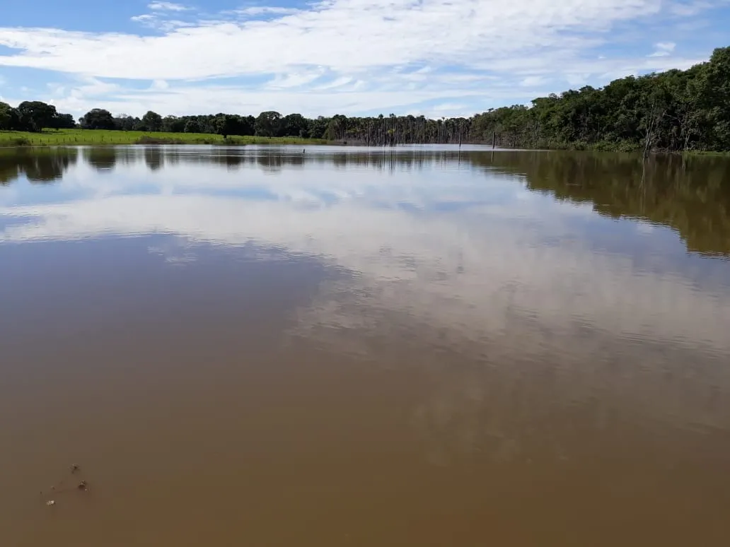 Fazenda à venda de 1.212 ha em Porangatu, GO, Brasil