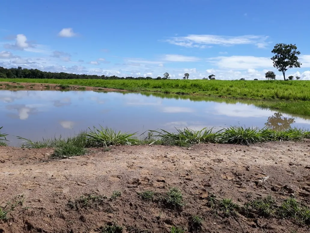 Fazenda à venda de 1.212 ha em Porangatu, GO, Brasil