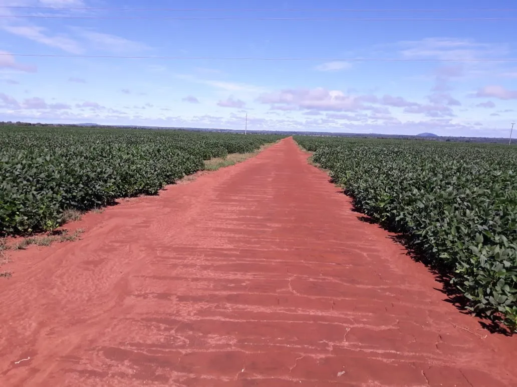 Fazenda à venda de 1.212 ha em Porangatu, GO, Brasil
