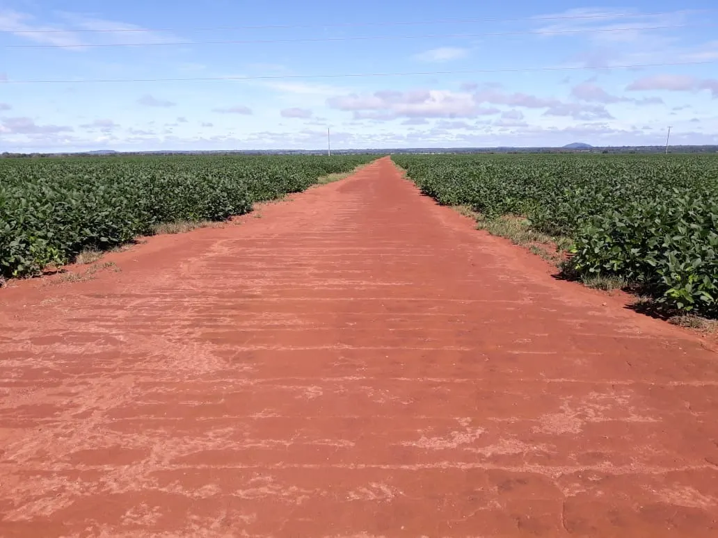 Fazenda à venda de 1.212 ha em Porangatu, GO, Brasil