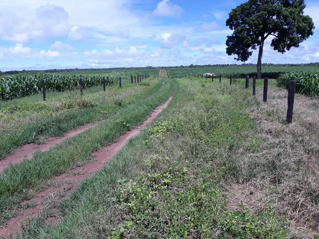 Fazenda à venda de 1.212 ha em Porangatu, GO, Brasil