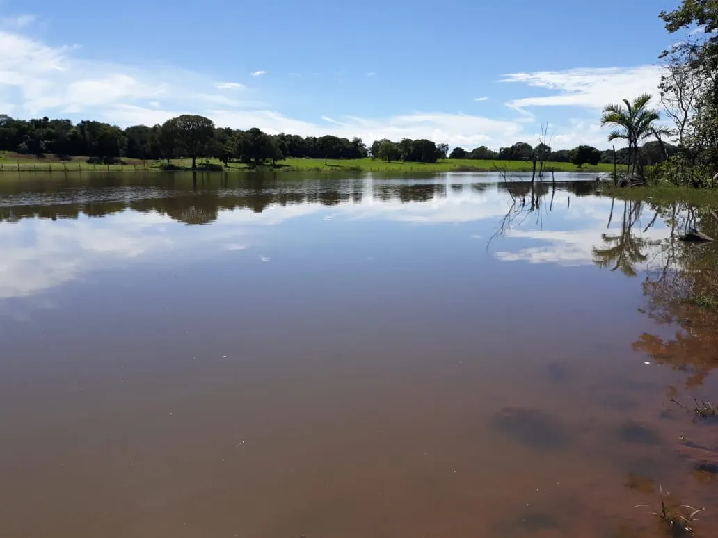 Fazenda à venda de 1.212 ha em Porangatu, GO, Brasil