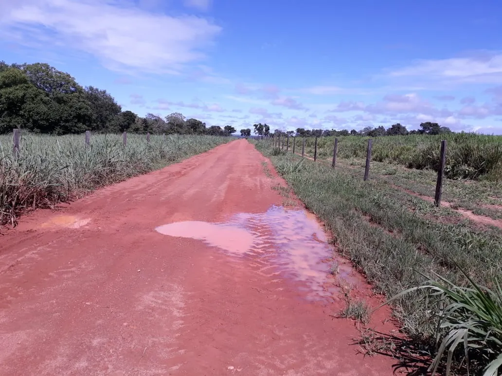 Fazenda à venda de 1.212 ha em Porangatu, GO, Brasil