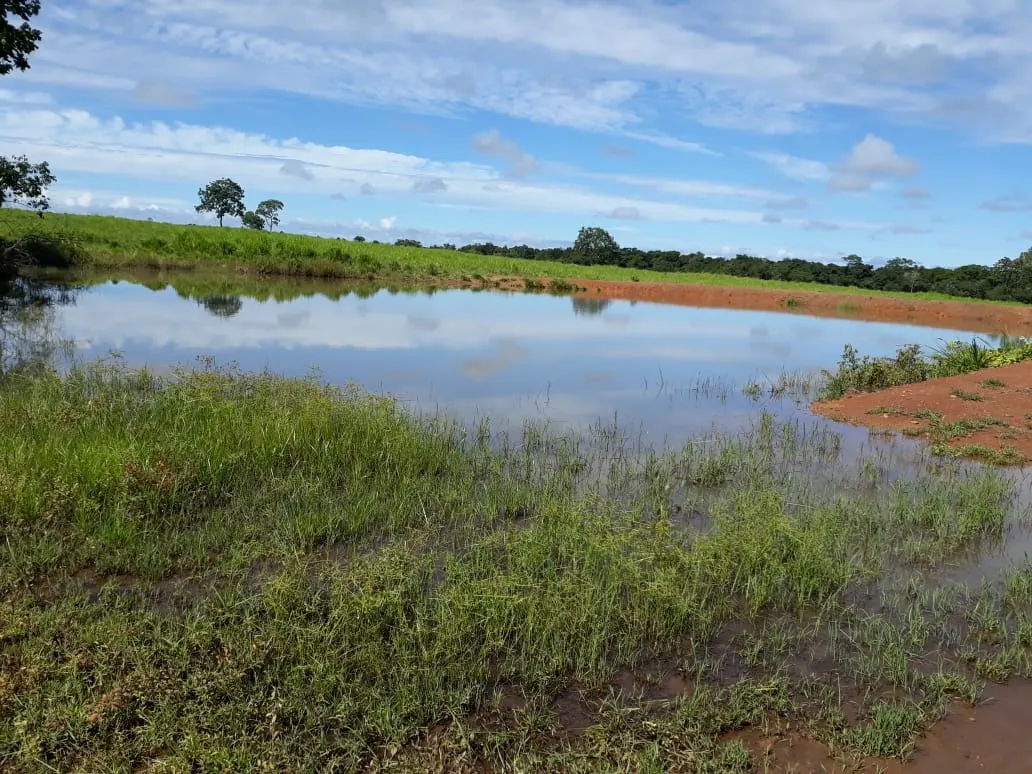 Fazenda à venda de 1.212 ha em Porangatu, GO, Brasil