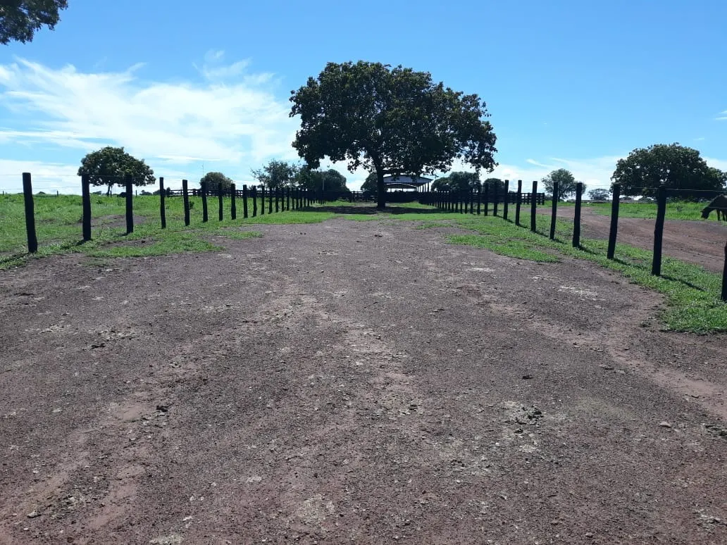 Fazenda à venda de 1.212 ha em Porangatu, GO, Brasil