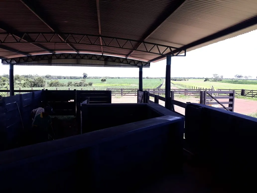 Fazenda à venda de 1.212 ha em Porangatu, GO, Brasil