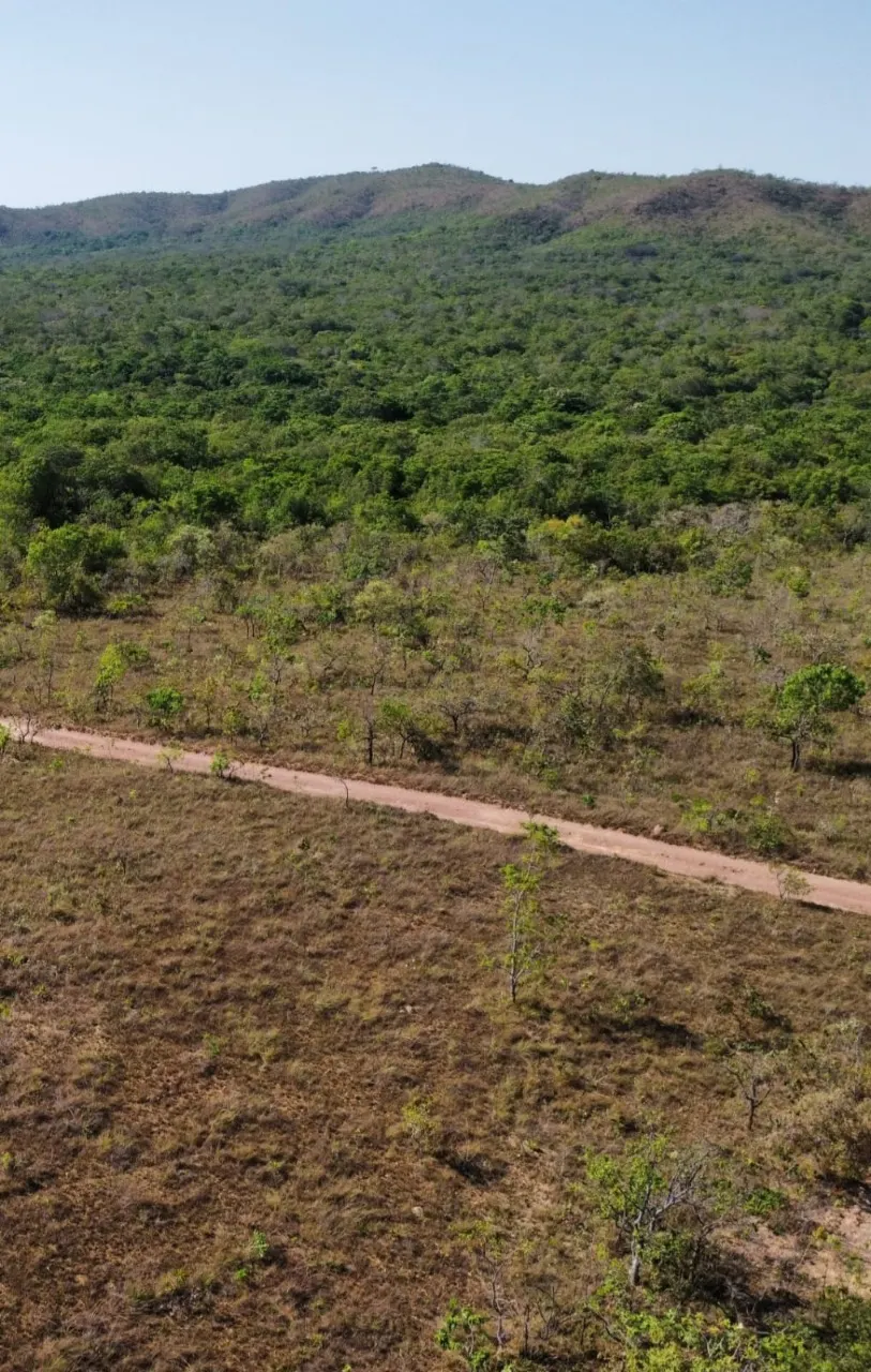 Fazenda à venda de 629 ha em Luziânia, GO, Brasil