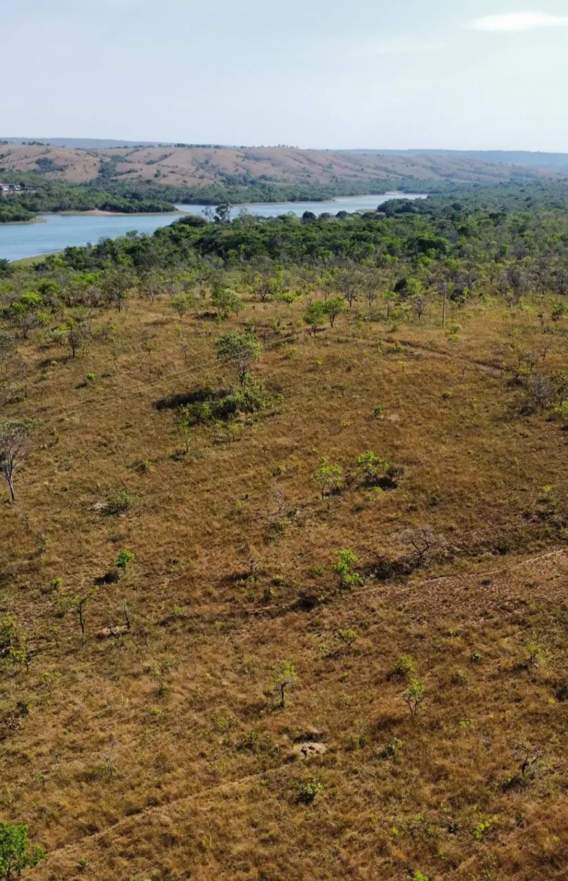 Fazenda à venda de 629 ha em Luziânia, GO, Brasil