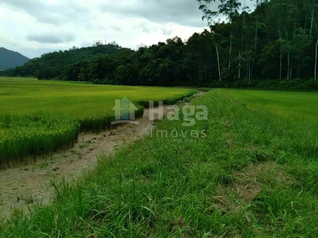 Terreno à venda de 7.727 m² em Guabiruba, SC, Brasil