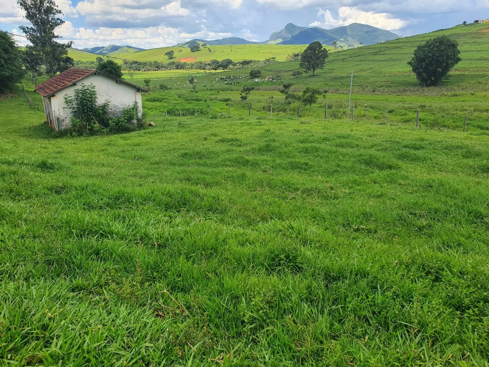 Fazenda à venda de 233 ha em Itajubá, MG, Brasil
