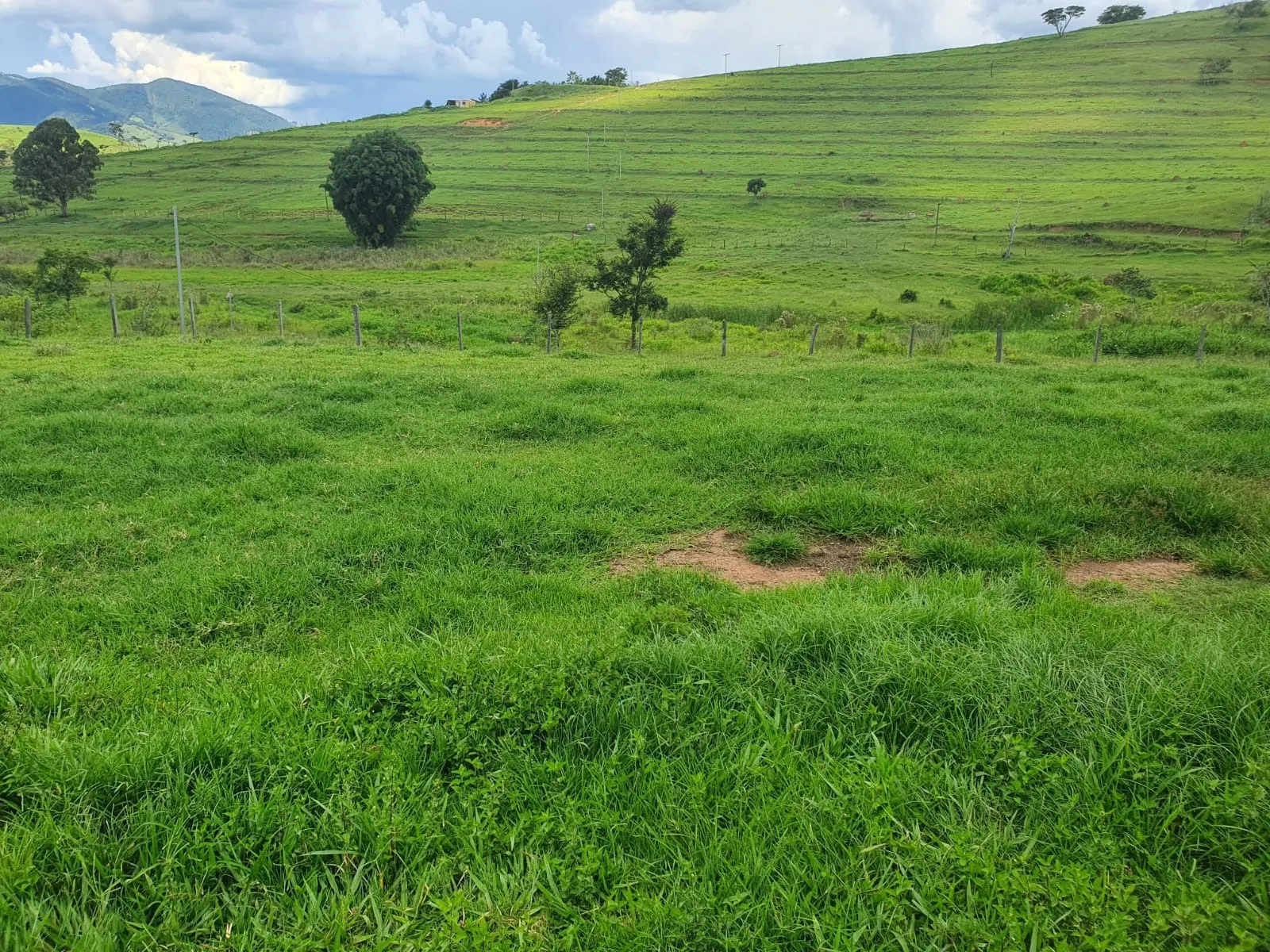 Fazenda à venda de 233 ha em Itajubá, MG, Brasil