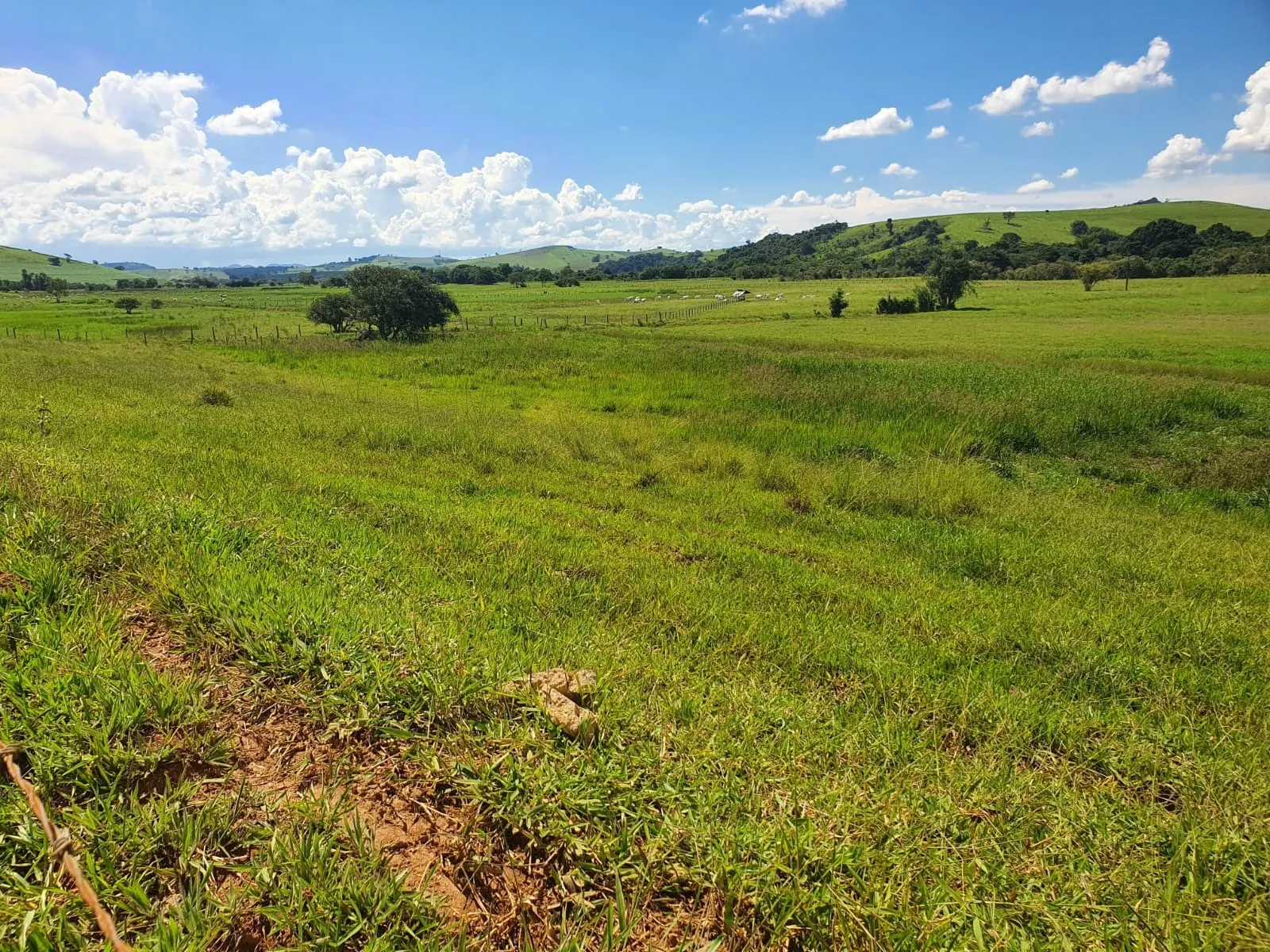 Fazenda à venda de 233 ha em Itajubá, MG, Brasil