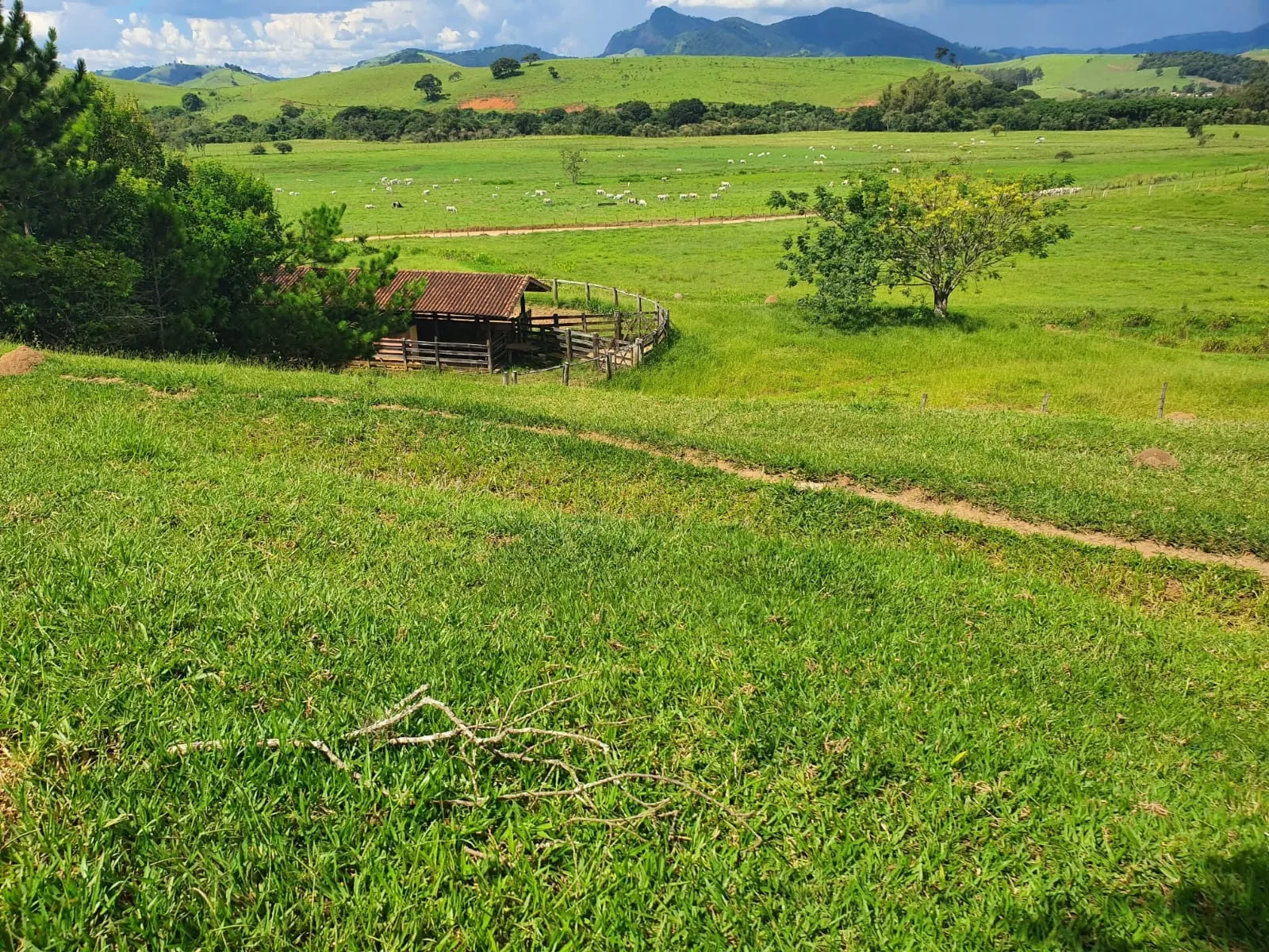 Fazenda à venda de 233 ha em Itajubá, MG, Brasil