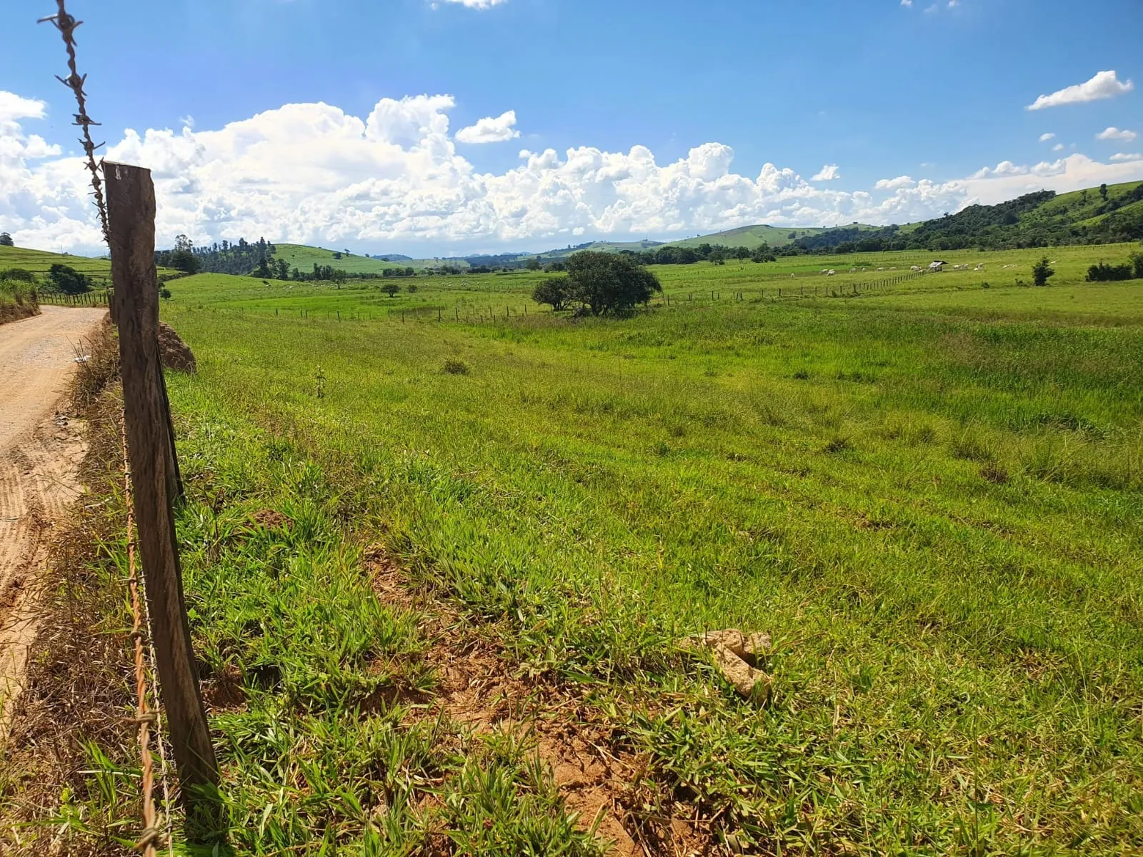 Fazenda à venda de 233 ha em Itajubá, MG, Brasil
