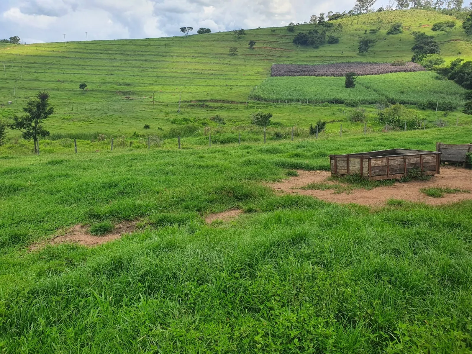Fazenda à venda de 233 ha em Itajubá, MG, Brasil