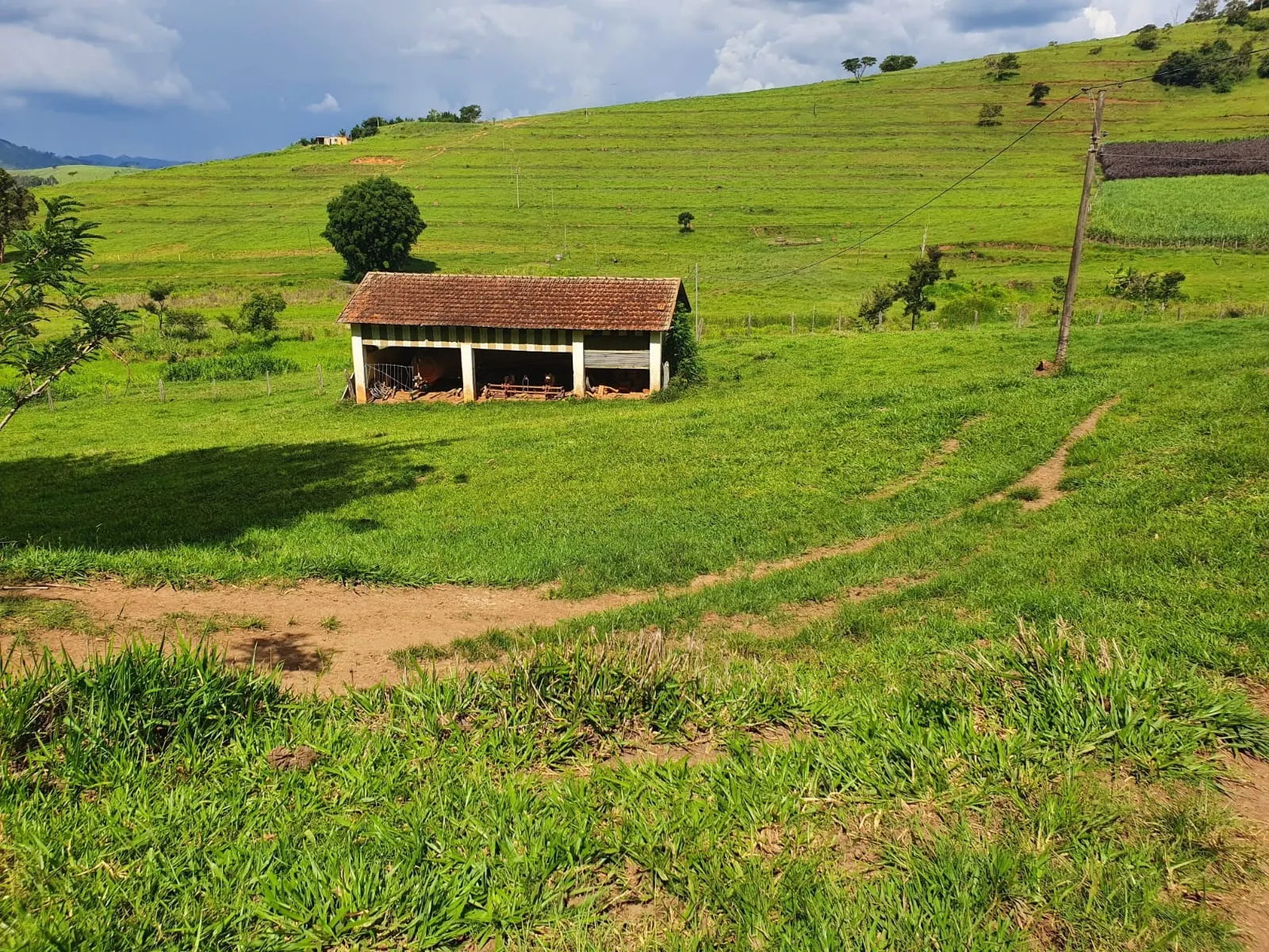 Fazenda à venda de 233 ha em Itajubá, MG, Brasil