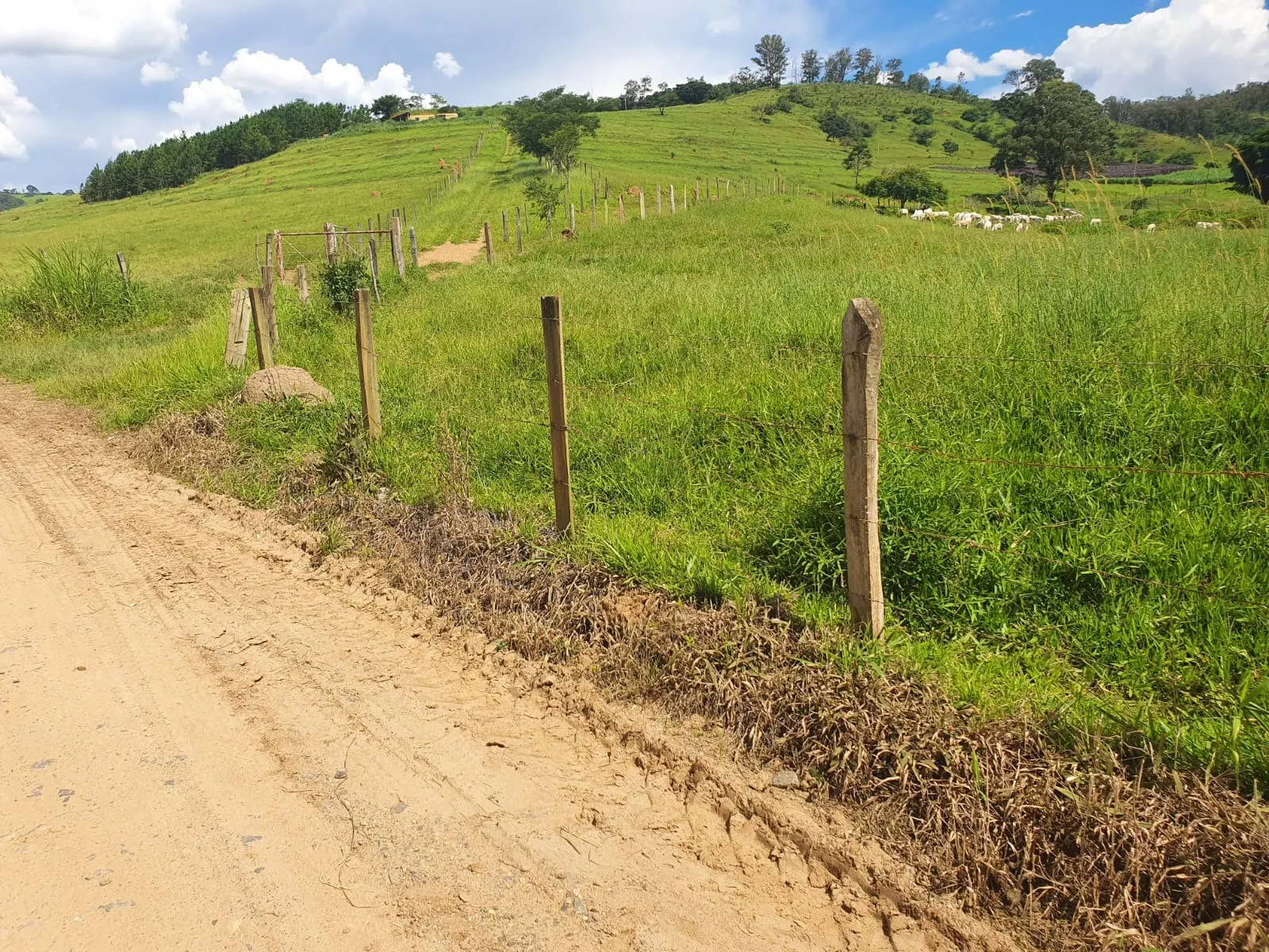 Fazenda à venda de 233 ha em Itajubá, MG, Brasil